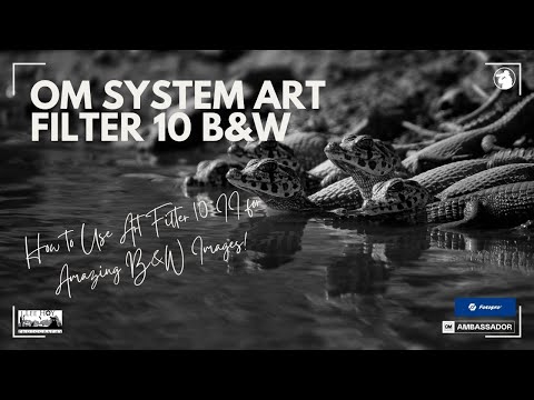 Видео: OM System Art Filter 10 II Black-and-White — как использовать для пейзажной и дикой фотографии
