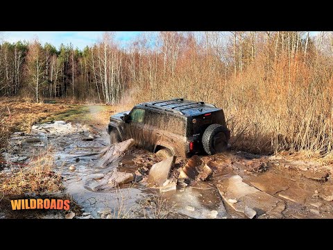 Видео: ПАРТ ТАЙМ ИЛИ МУФТА? ПУСТЬ РАССУДИТ ЛЕС