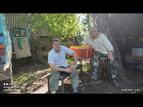 Видео: Пасека на связи 18