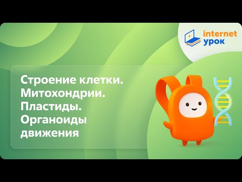 Видео: Строение клетки. Митохондрии. Пластиды. Органоиды движения. Видеоурок по биологии 10 класс