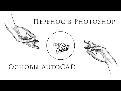 Видео: Архитектор: основы AutoCAD и Photoshop.