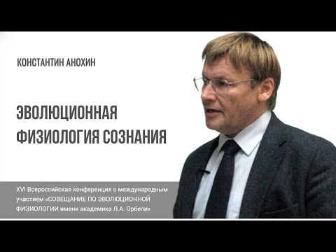 Видео: Эволюционная физиология сознания. Константин Анохин