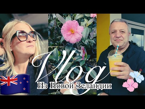 Видео: 🇳🇿🇺🇦 ПОСЛЕДНИЕ НОВОСТИ. НЕДЕЛЯ НАШЕЙ ЖИЗНИ В ОДНОМ ВИДЕО 