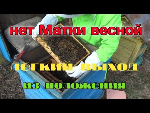 Видео: Нет матки весной???как изменить?!?!?