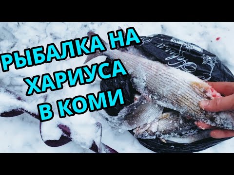 Видео: РЫБАЛКА НА ХАРИУСА.