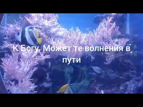 Видео: Бог имеет планы о тебе