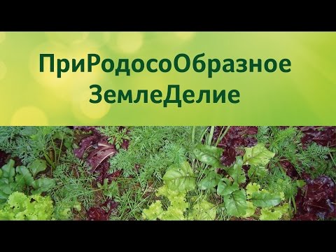 Видео: ПриРодосоОбразное ЗемлеДелие