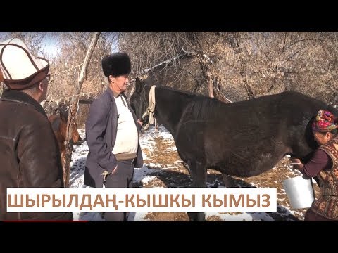 Видео: ШЫРЫЛДАҢ-КЫШКЫ КЫМЫЗ. АКЫЛ ЗАМАН. NewTV