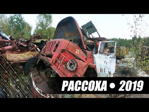 Видео: "Рассоха" отстойник зараженной техники, сентябрь 2019
