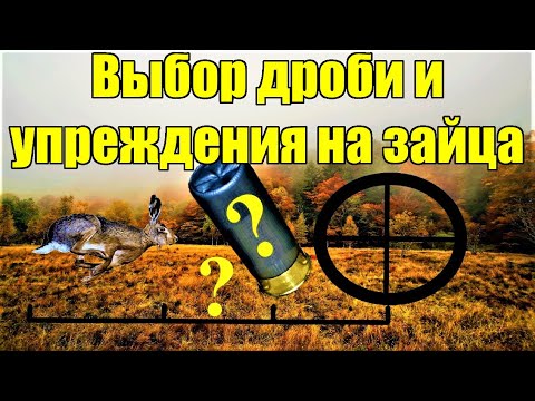 Видео: Дробь на зайца и лису в 2024. Упреждение/Вынос при охоте на зайца.