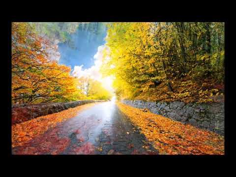 Видео: Запоздалая Любовь