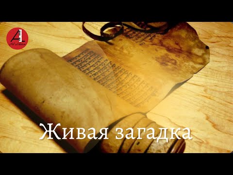 Видео: Живая загадка