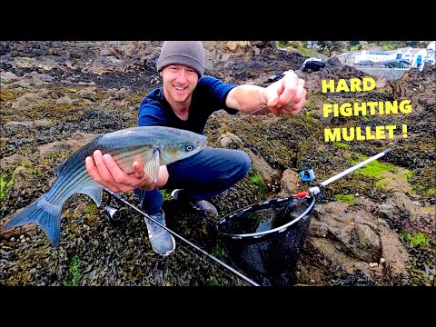 Видео: Ловля кефали — сильная боевая рыба! Как поймать кефаль