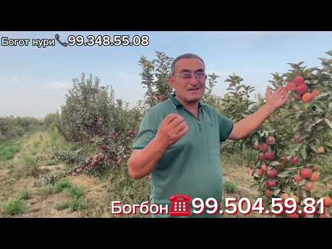 Видео: Беш минг сўм дибинда узиб олосиз