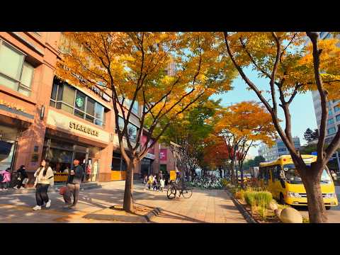 Видео: Осенняя прогулка в жёлтом l Пешеходная экскурсия по Сеулу l От станции Качисан до моста Омокгё l 4K