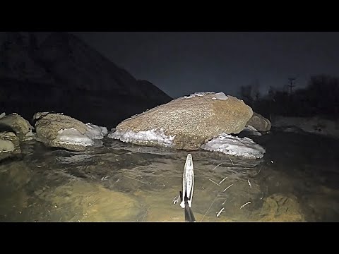 Видео: ПОДВОДНАЯ ОХОТА - ЛУЧШАЯ РЫБАЛКА ЗИМЫ ! РЫБА КИШИТ . SPEARFISHING