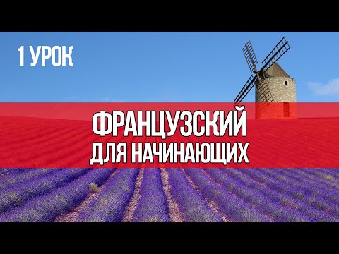 Видео: Урок 1 | Французский для начинающих | Аудиокурсы Langme