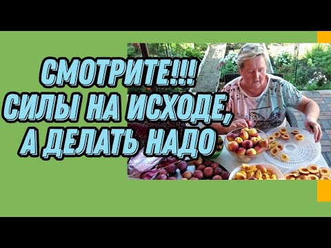Видео: 171. Переезд с Урала на юг/Жизнь на юге после переезда