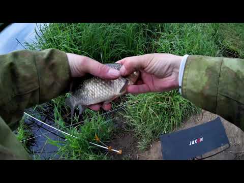 Видео: Херабуна! Первый опыт.