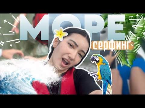 Видео: ЛЕТНИЙ ВЛОГ🏄‍♀️: как я чуть не пропустила весь отдых