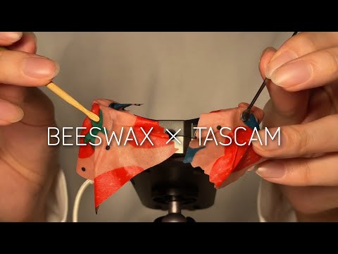 Видео: ACMP Царапание Beeswax Wrap на микрофоне Tascam (No Talking)