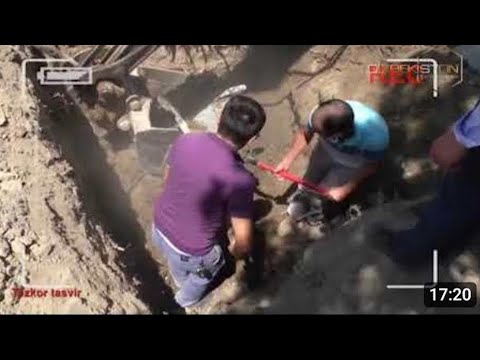Видео: Самарканд МУРДАНИНГ ‘’КАБРИ ОЧИЛДИ’’ бир жиноят изидан