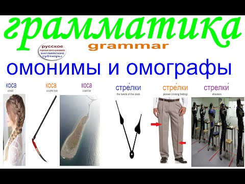 Видео: Русский язык / грамматика / ОМОНИМЫ и ОМОГРАФЫ