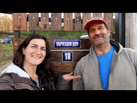 Видео: ЖИВОТ HА СЕЛО: Напредваме с портата! 🚪 + Садим лозе, къпини и ягоди 🍓