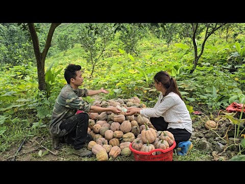 Видео: Добрый фермерский мальчик помог Ли Тиеу Са найти новую работу и улучшить ее жизнь.