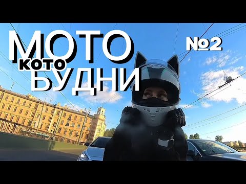 Видео: МотоБудни №2/Кошачьи движения|ДОВЕРИЛИ CBR