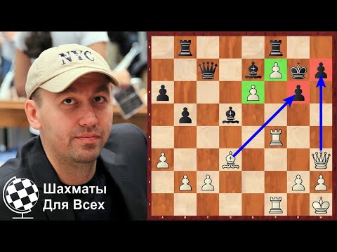 Видео: Шахматы. Гата Камский. ЧАРУЮЩИЙ МАНЕВР ФЕРЗЯ!