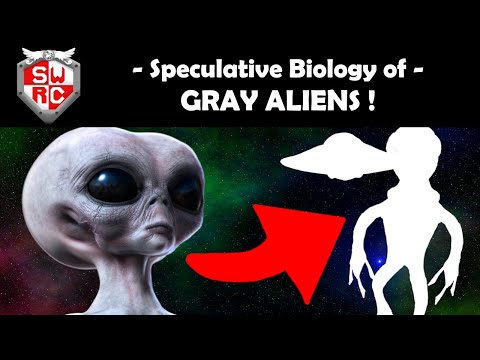 Видео: Серые пришельцы в новом свете! (Спекулятивная биология!)