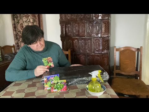 Видео: Так посівну я ще не починала ... СІЄМО ПЕРШІ РОСЛИНКИ.