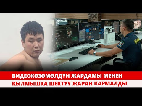 Видео: Видеокөзөмөлдүн жардамы менен кылмышка шектүү жаран кармалды