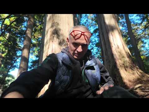 Видео: Гора Курама. Священне місце для Японців. Місто сили, святилище Рейкі