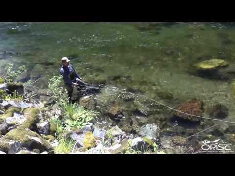 Видео: Советы Micro Skagit для высоких берегов — Тревор Кович — OPST