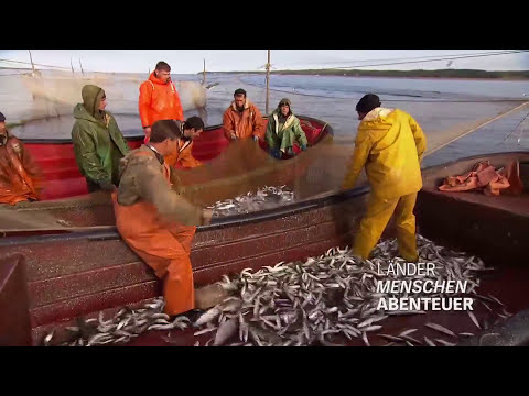 Видео: Путешествие по Енисею, часть 1 - Mit dem Postboot auf dem Jenissej Teil 1