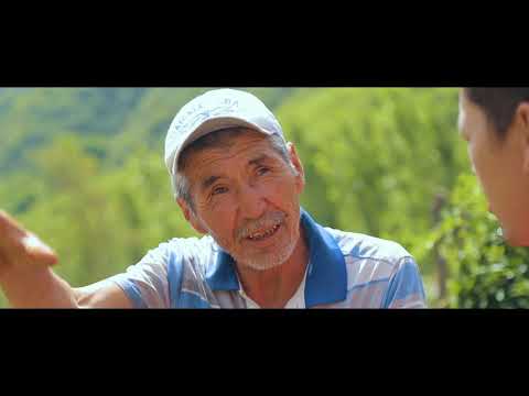 Видео: Зергер айылы 2020#Айылым алтын бешигим