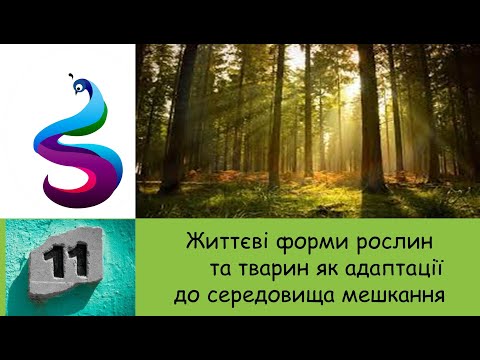 Видео: Життєві форми рослин та тварин як адаптації до середовища мешкання