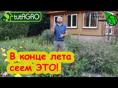 Видео: ИМЕННО ЭТО СЕЕМ В КОНЦЕ ЛЕТА! Не высевайте сидераты! Сперва узнайте эту важную информацию!