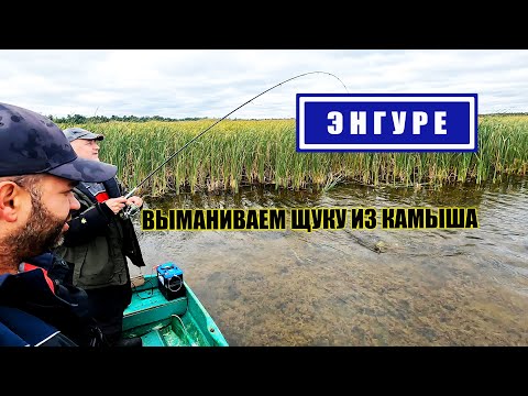 Видео: РЫБАЛКА НА ЭНГУРЕ | ГОТОВИМ ВКУСНЫЙ УЖИН