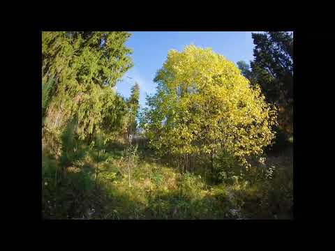 Видео: Красавино Верхняя дорожка