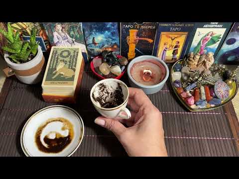 Видео: Чашка дня‼️