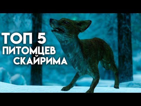 Видео: Скайрим - Топ 5 Питомцев Спутников
