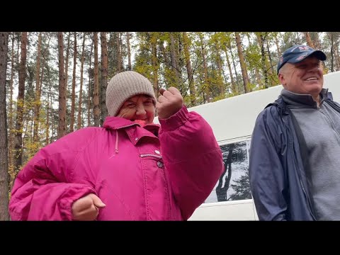 Видео: Грибы 🍄‍🟫 это странный предмет,вот они есть,а вот уже нет! Всем хватит! Что это растет у родителей?