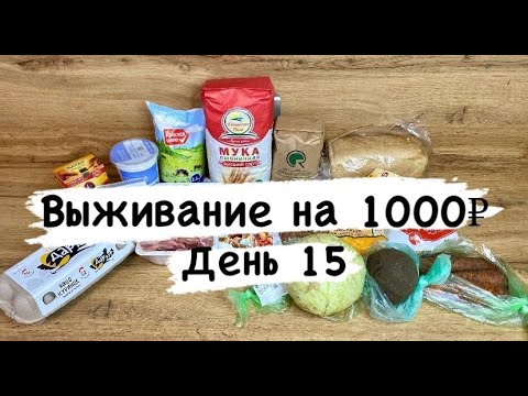 Видео: Выживание на 1000 рублей в 2024 году! / День 15 / Экономное меню / Эксперимент