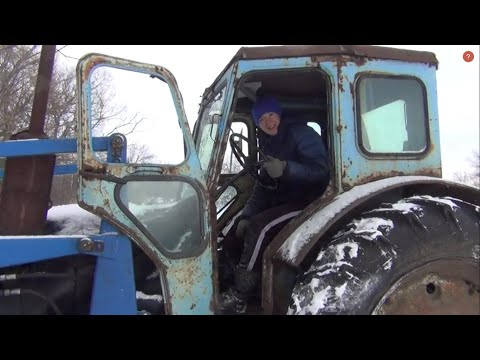 Видео: Наташа тракторист, красная икра от тещи и коровы на прогулке