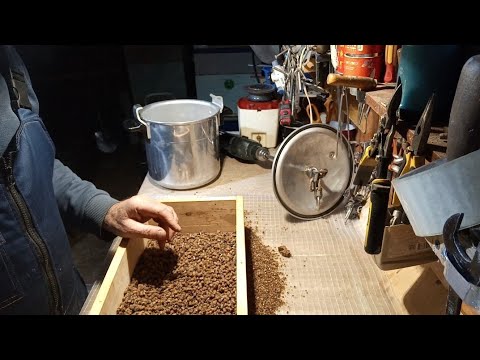 Видео: 15 ноября 2024г.Быстрое извлечение перги + новинки