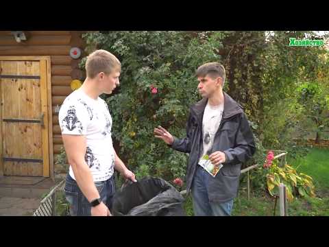 Видео: Как сделать компост из опавших листьев?