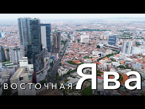 Видео: Мотопутешествие на Honda PCX. 3 дня, 1000 км